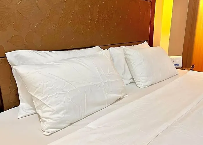 Hotel Luxury Type Near Naia Airport